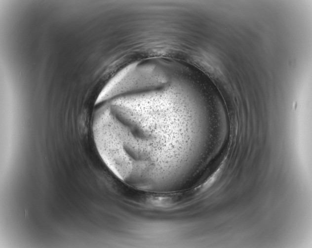 X0000087050174200705021204