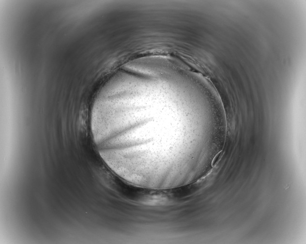 X0000087050175200705021204