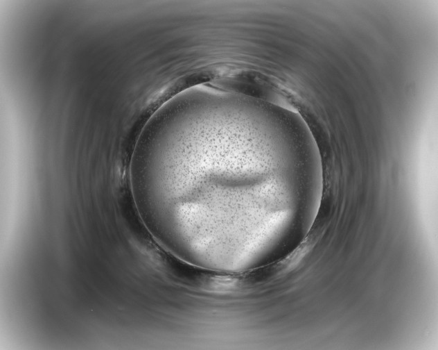 X0000087050176200705021204