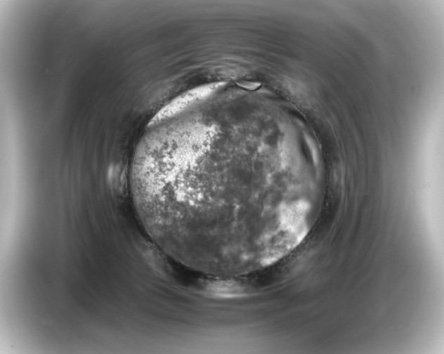 X0000087050177200705021204