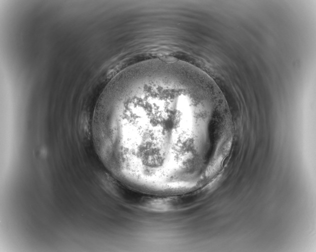 X0000087050178200705021204