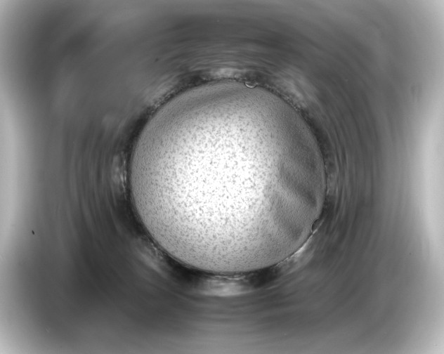 X0000087050179200705021204