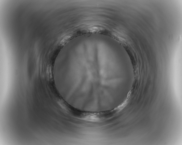 X0000087050182200705021204