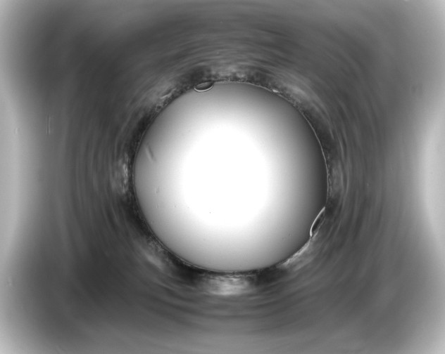 X0000087050183200705021204