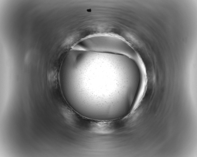 X0000087050184200705021204