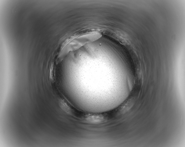 X0000087050185200705021204