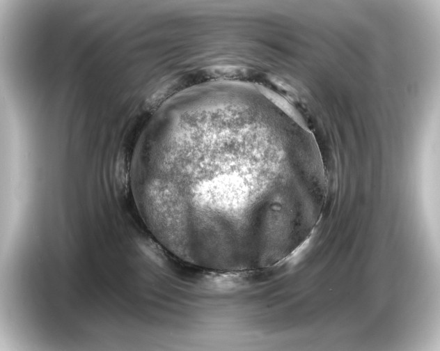 X0000087050186200705021204