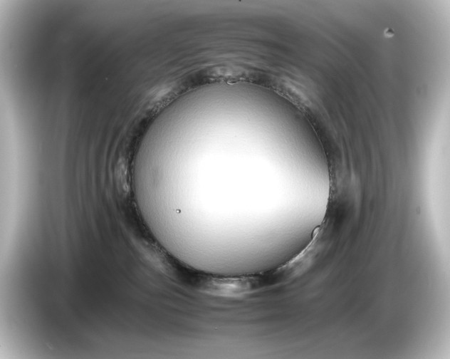 X0000087050187200705021204