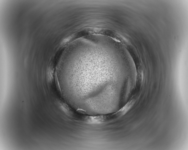 X0000087050188200705021204