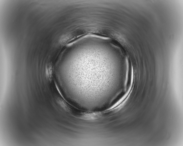 X0000087050190200705021204