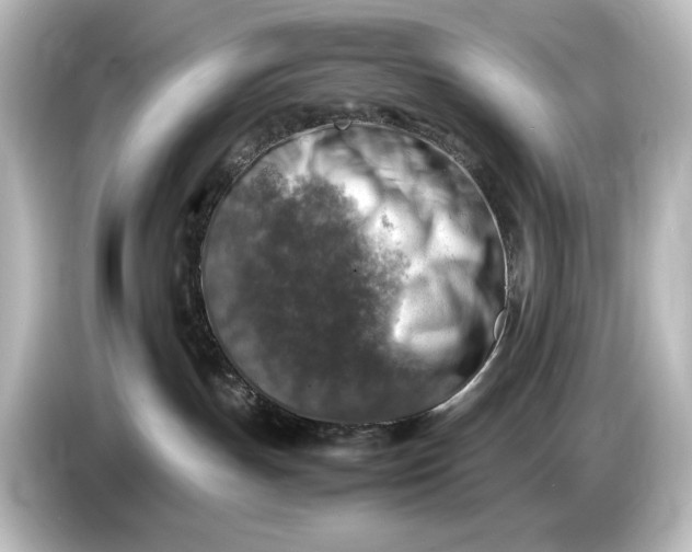 X0000087050191200705021204