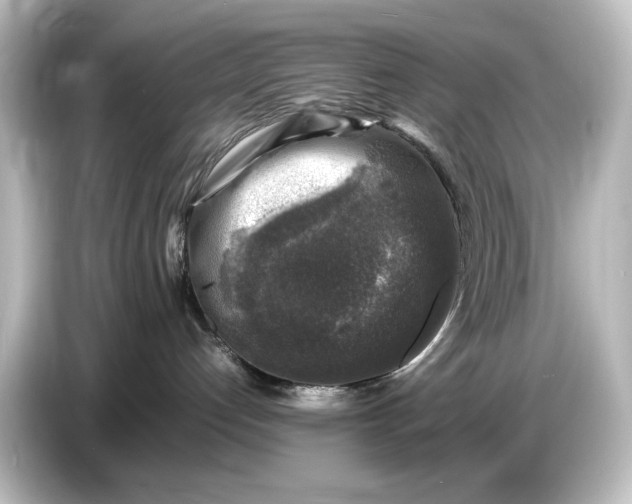 X0000087050192200705021204