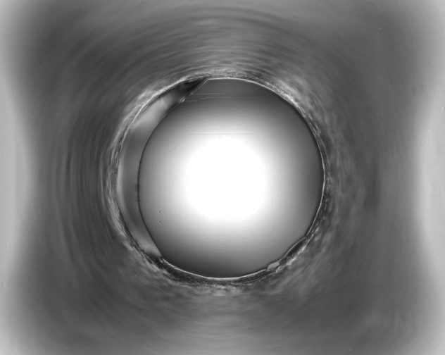 X0000087050193200705021203