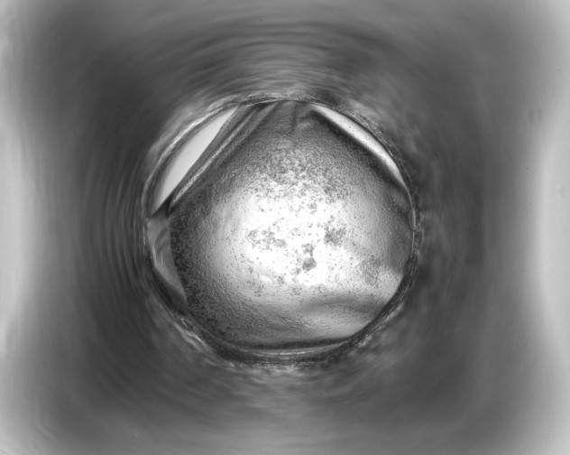 X0000087050194200705021203