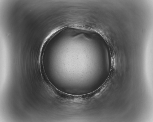 X0000087050196200705021203