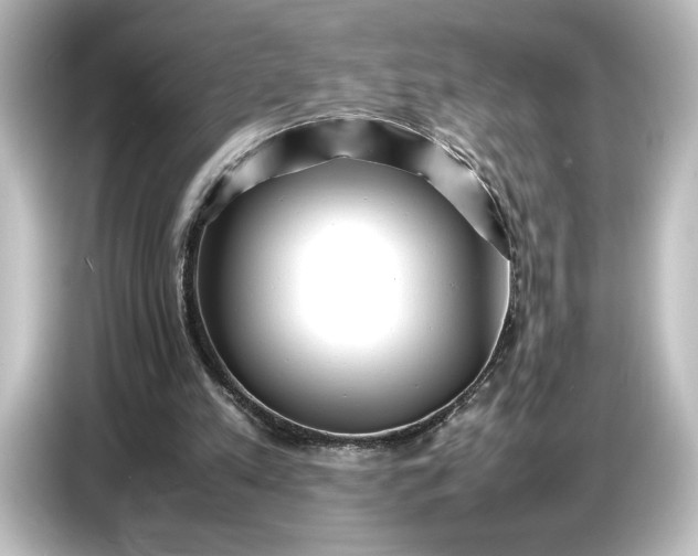 X0000087050197200705021203