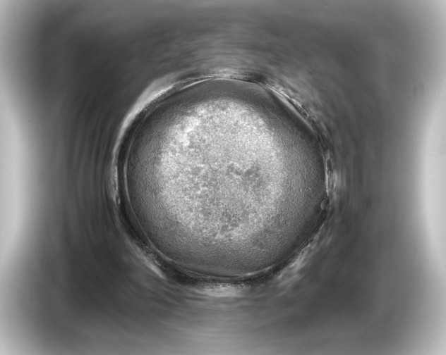 X0000087050198200705021203