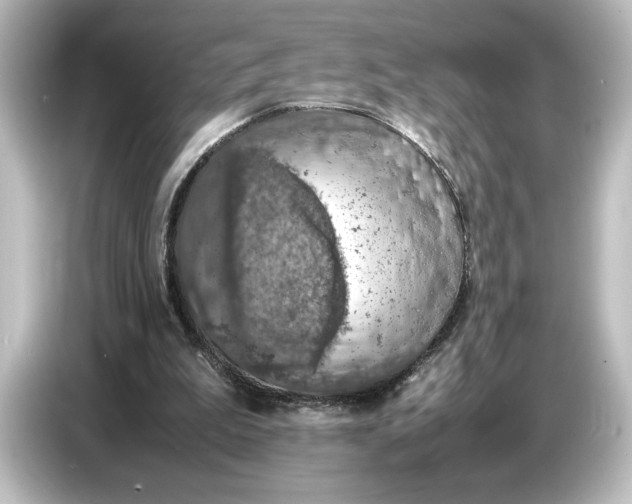 X0000087050199200705021203