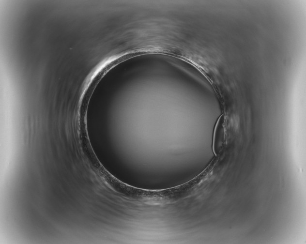 X0000087050200200705021203