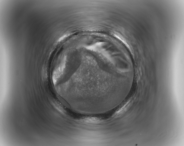 X0000087050203200705021203