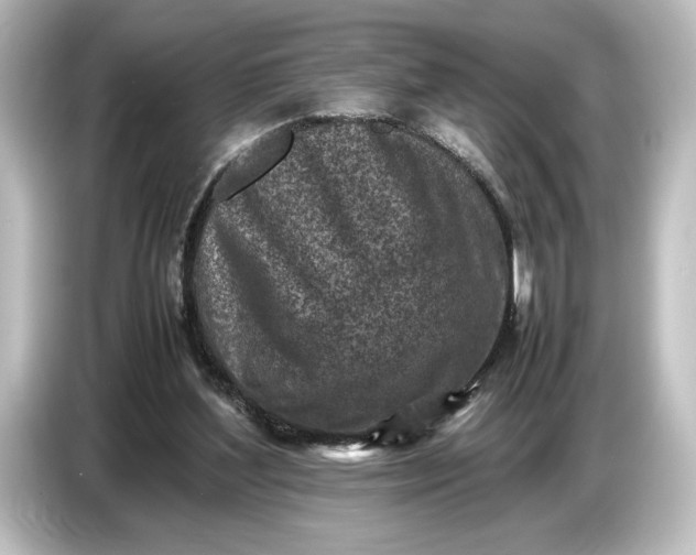 X0000087050204200705021203