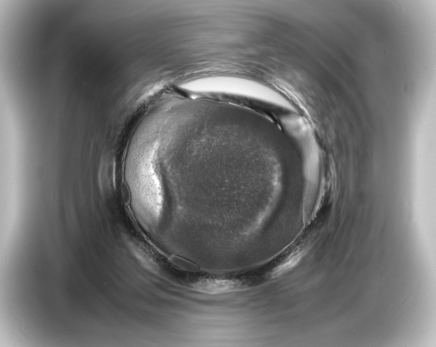 X0000087050205200705021203