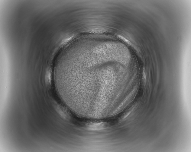 X0000087050206200705021203