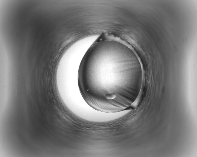 X0000087050207200705021203