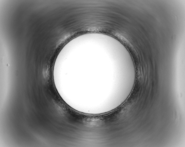 X0000087050208200705021203