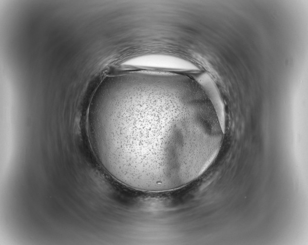 X0000087050209200705021203