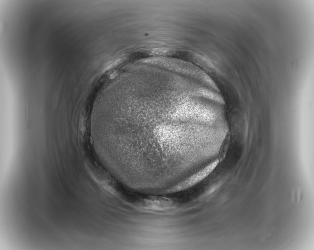 X0000087050215200705021203