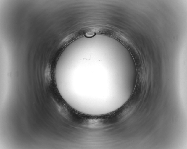 X0000087050216200705021203