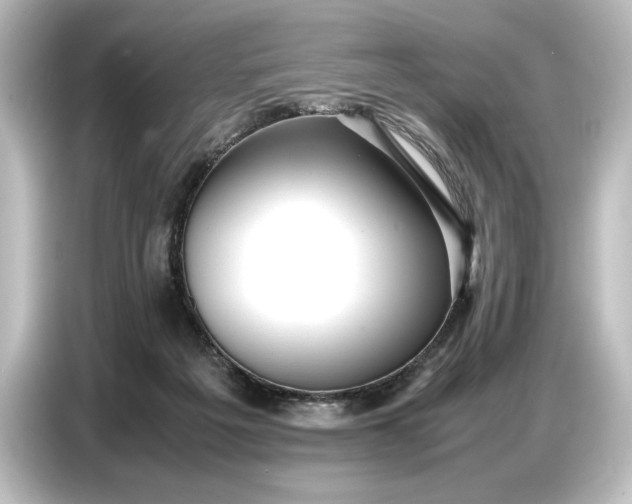 X0000087050217200705021203