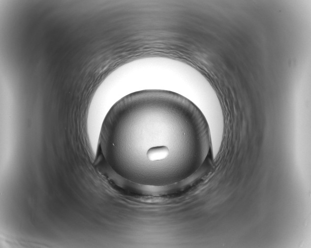 X0000087050219200705021203