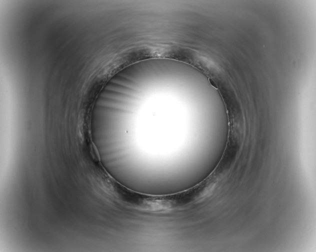 X0000087050221200705021203