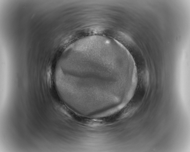 X0000087050222200705021203