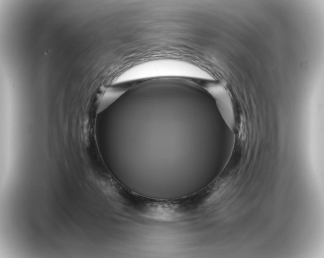 X0000087050223200705021203