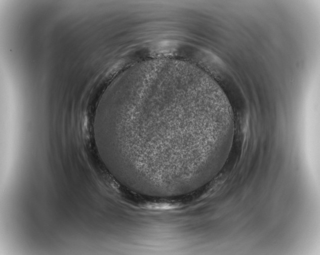 X0000087050224200705021203