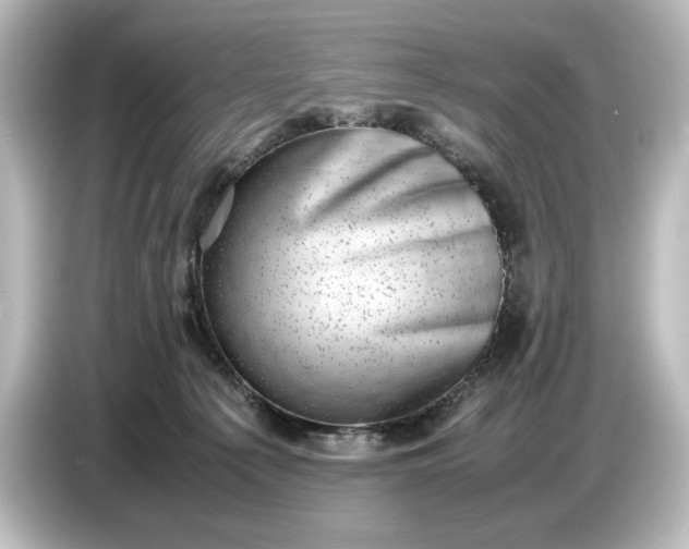 X0000087050225200705021203