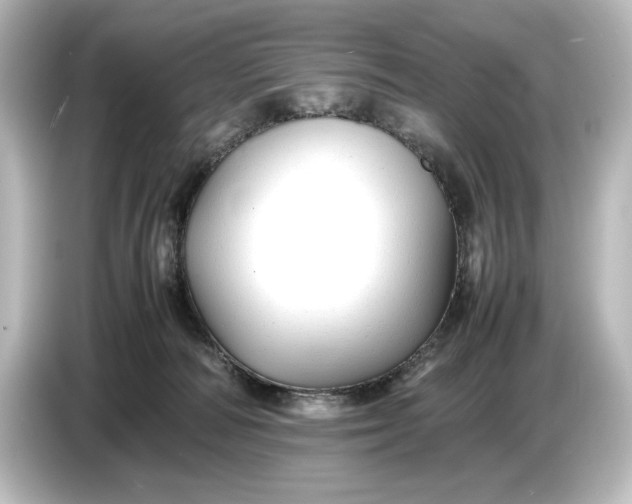 X0000087050226200705021203