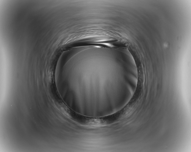 X0000087050227200705021203