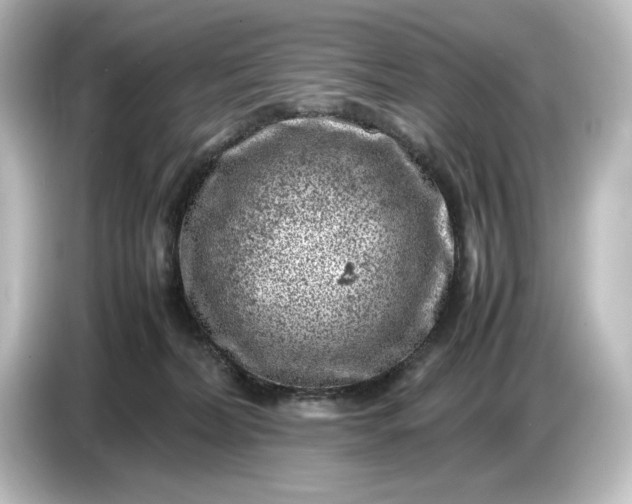 X0000087050228200705021203