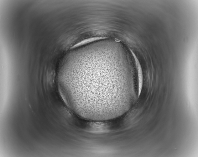 X0000087050230200705021203