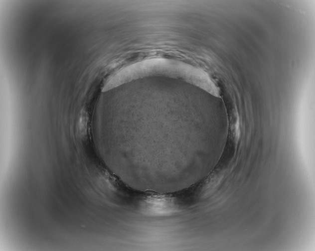 X0000087050231200705021203