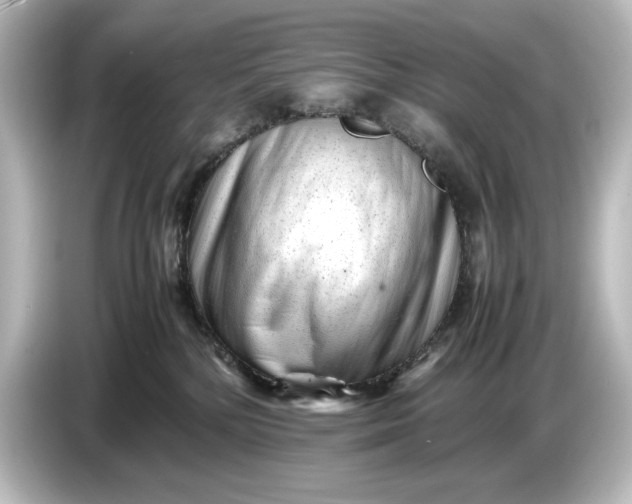 X0000087050232200705021203