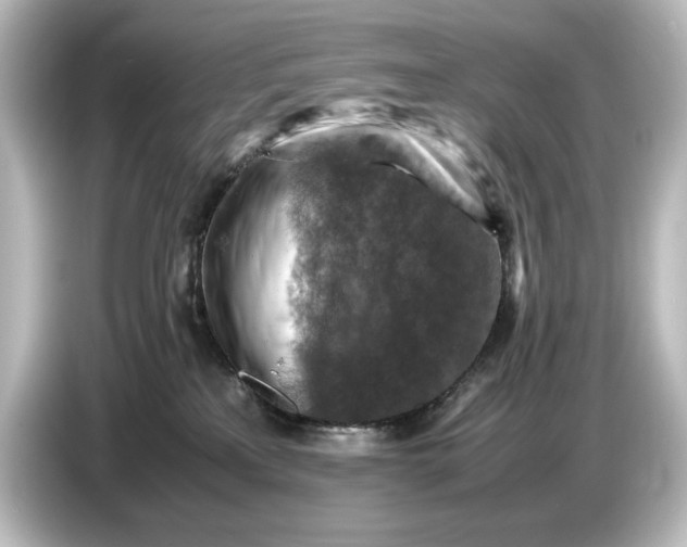 X0000087050233200705021203