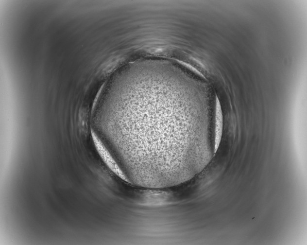 X0000087050234200705021203