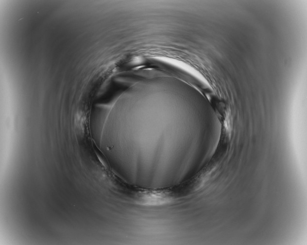 X0000087050235200705021203