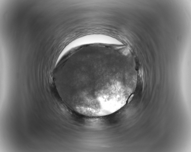 X0000087050237200705021203