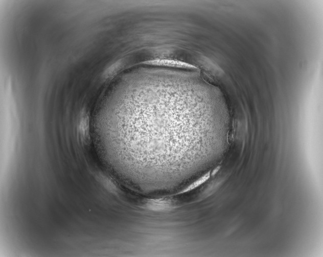 X0000087050238200705021203